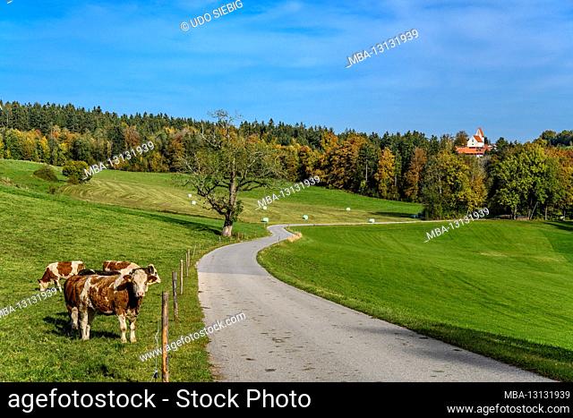Germany, Bavaria, Upper Bavaria, Tölzer Land, Dietramszell, district Thankirchen, cultural landscape with branch church St