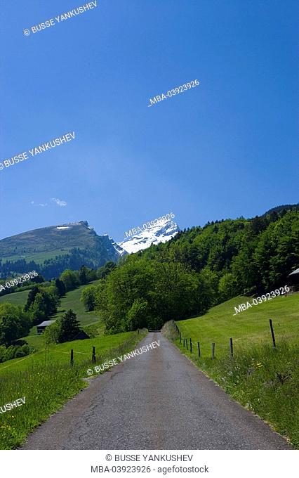 Switzerland, canton St, . Gallen, district development-mountain Buchserberg mountain-streets