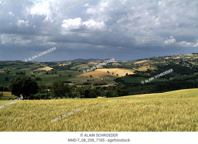 Panoramic view of a landscape, Duesanti, Todi, Umbria, Italy