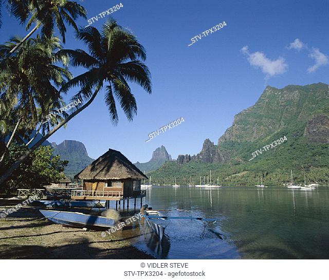 Bay, Cook's, French polynesia, Holiday, Landmark, Moorea, South pacific, Tahiti, Tourism, Travel, Vacation