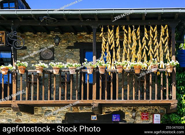 Corn cobs drying in the sun. Typical house of El Bierzo. French Way, Way of St. James. Cacabelos, El Bierzo, Leon, Castile and Leon, Spain, Europe