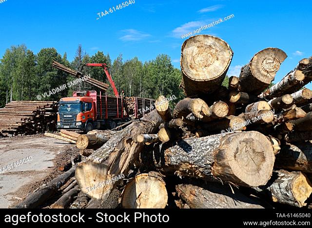 RUSSIA, VOLOGDA REGION - AUGUST 22, 2023: A lorry stands at a log yard of LDK No 2, a timber factory based in Vytegra and owned by Vologda Timber Merchants