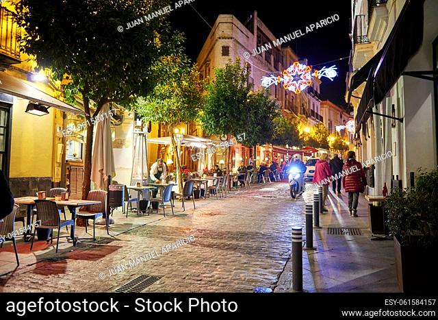 Seville at Night on Christmas, Andalusia, Spain, Europe