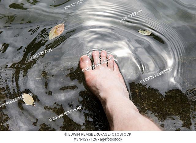 Toes in water of Walden Pond