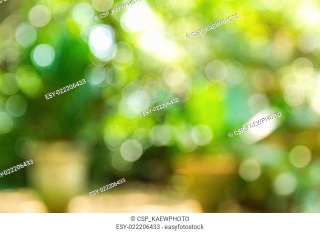 Abstract bokeh and blurred colorful nature background