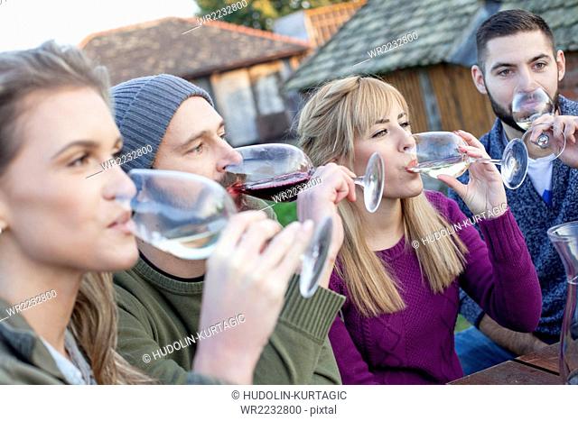 Group of friends drinking wine on garden party