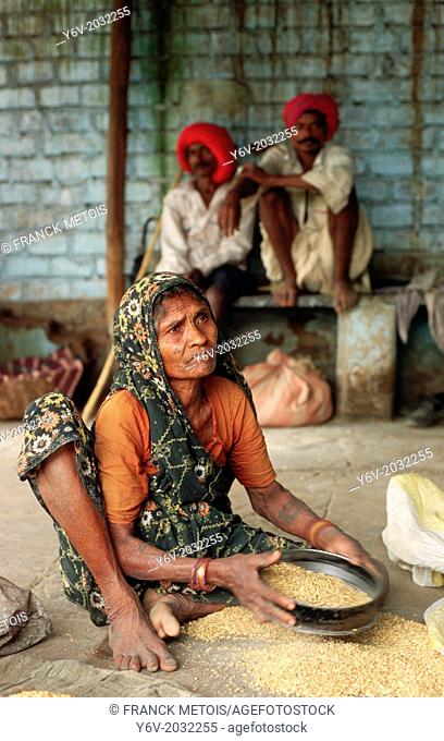 Bhil tribeswoman winnowing wheat. Behind her, two men belonging to the same tribe. Madhya Pradesh, India