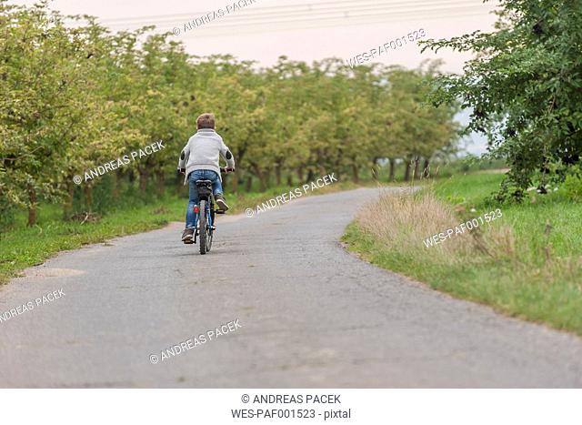 Back view of little boy riding bicycle