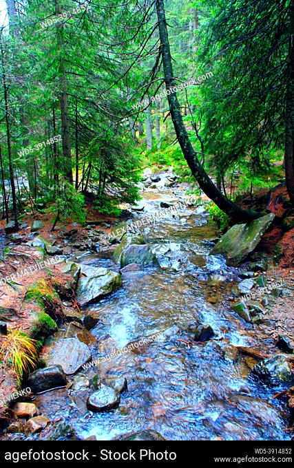 beautiful landscape with speed mountainous river in the forest of Carpathian mountains