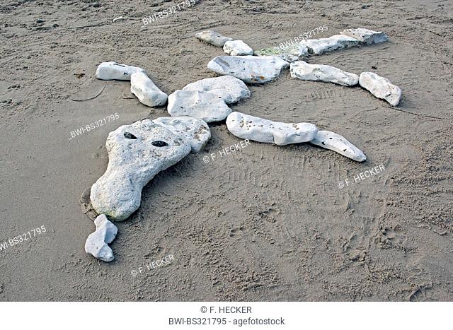crocodile layed of stones at the sand beach by children, Germany