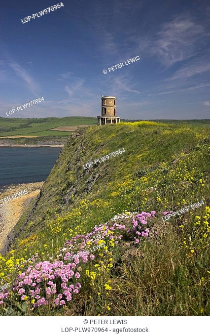 England, Dorset, Kimmeridge, Sea Thrift, Common Birdsnest Trefoil, and Rape Seed growing in profusion on the cliffs by Clavel Tower at Kimmeridge