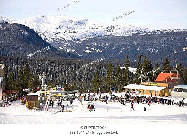 Mt Washington Ski Resort bordering Strathcona Provincial Park BCs oldest park established in 1911 Vancouver Island BC Canada