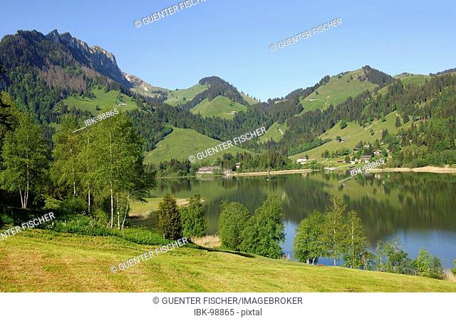 Pre-alpine landscape near lake Schwarzsee Alps fribourgoises Switzerland