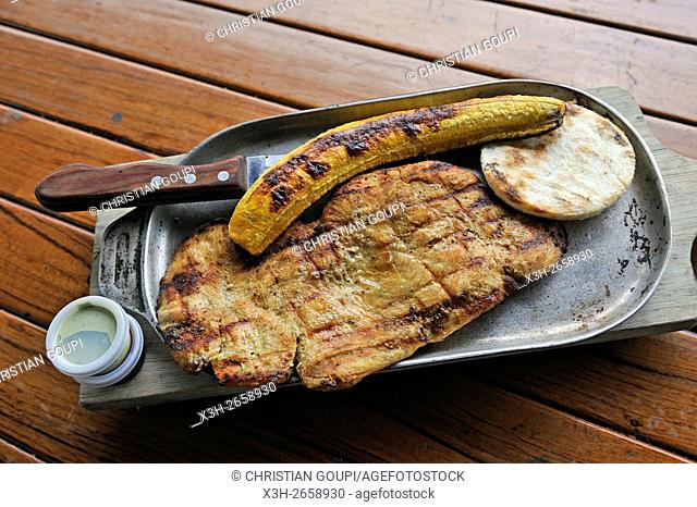 grilled breast chicken and fried plantain served in a restaurant at Cocora Valley, around Solento, department of Quindio, Colombia, South America