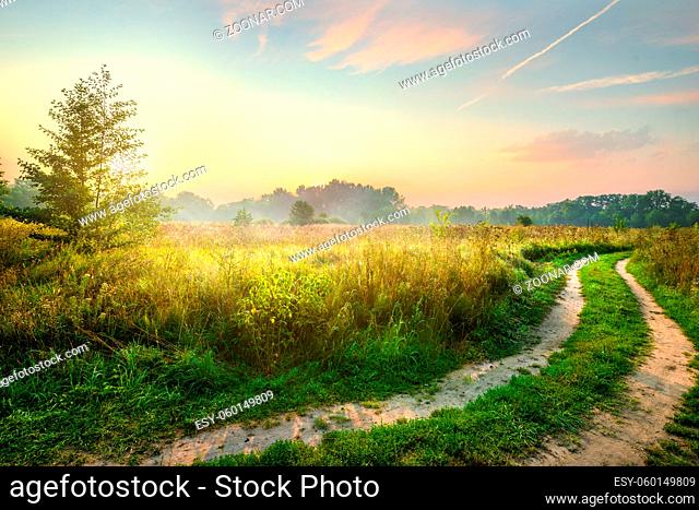 Road and the spring field at the sunrise