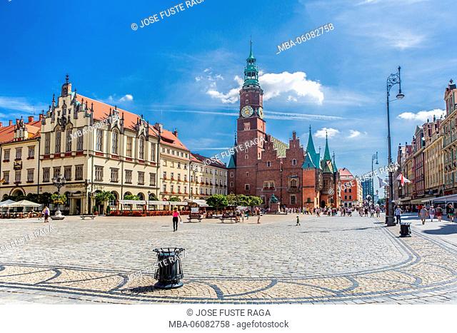 Poland, Wroclaw City, Market Square, Town Hall Building Rynek, Fredro Monument