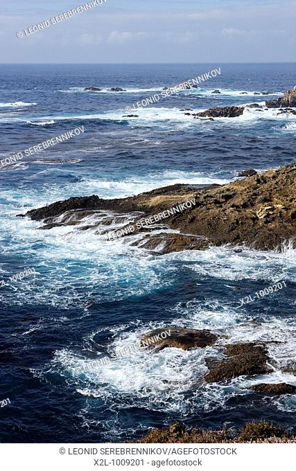 Rocky shore of Point Lobos State Reserve  California, USA