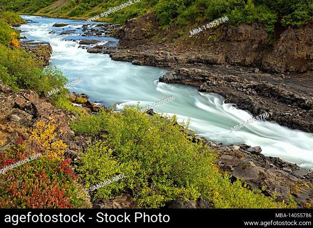 the course of the hvítá, near the barnafoss and hraunfossar waterfalls near húsafell, light autumn colors of the vegetation, iceland, west iceland