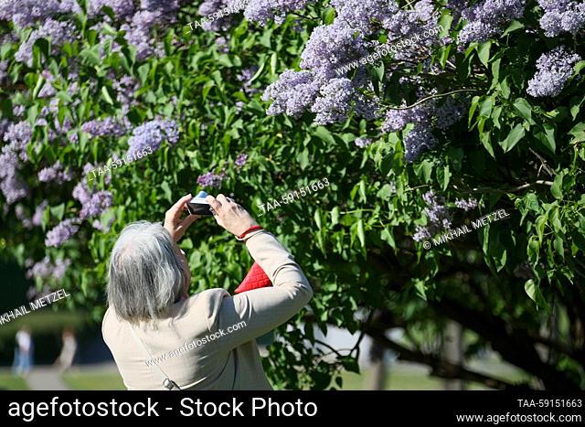 RUSSIA, MOSCOW - MAY 17, 2023: A woman takes a picture of a blooming lilac tree at the Kolomenskoye Museum-Reserve. Mikhail Metzel/TASS