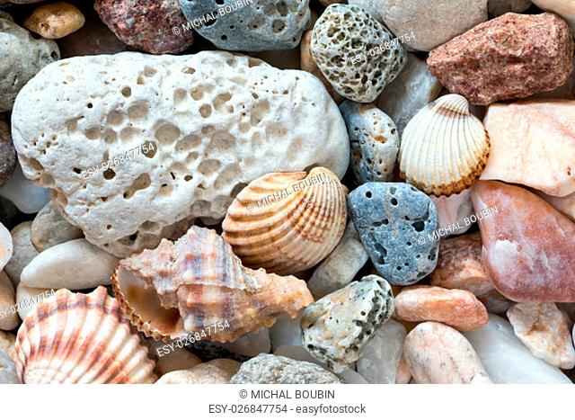 Detail of the various sea pebbles on the beach with shells