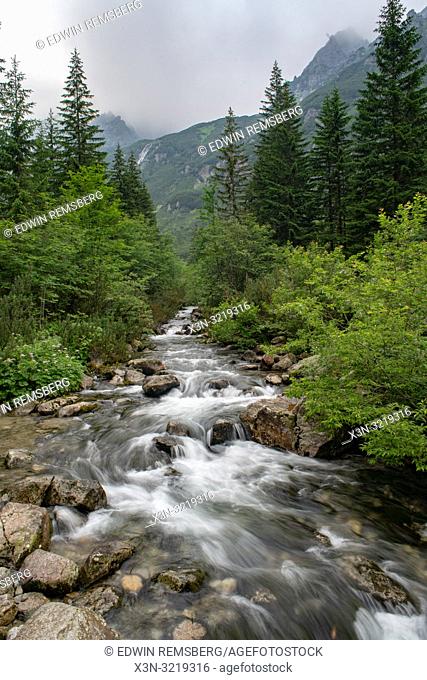 The River Roztoka in the Tatra National Park, Lesser Poland Voivodeship, Poland