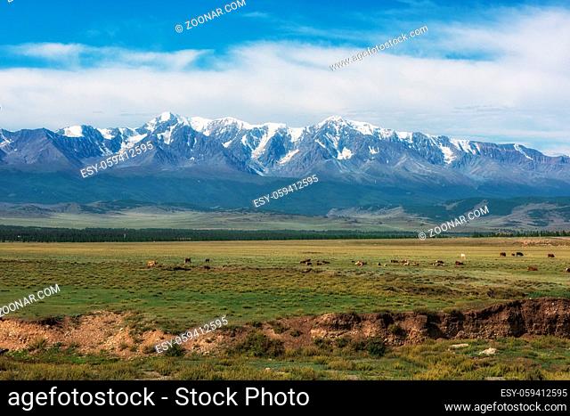 Panorama of Altai mountains with river, beauty summer morning in the mountain in Altai