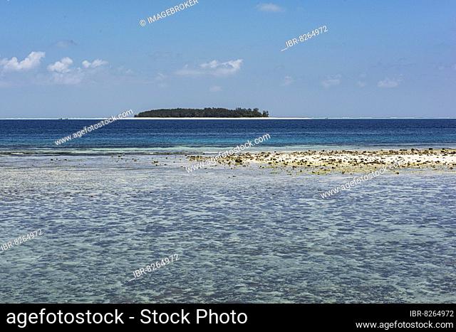 Riff, Lagune, hinten Atoll Mnemba, Nordostküste Unguja, Sansibar, Tansania