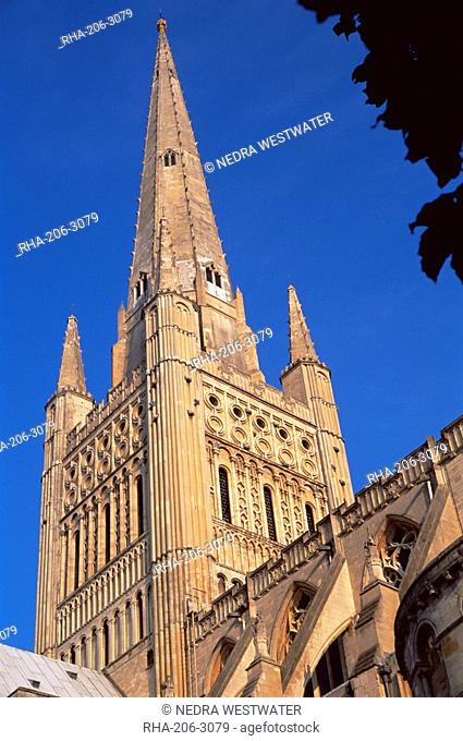 Norwich cathedral, tower dating from 11th century, with 15th century spire, Norwich, Norfolk, England, United Kingdom, Europe