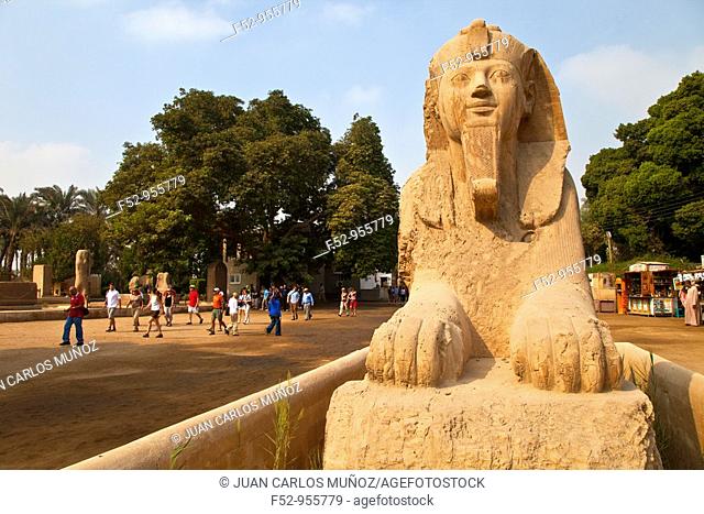 Calcite colossal Sphinx. Memphis. Cairo. Nile Valley. Egipt