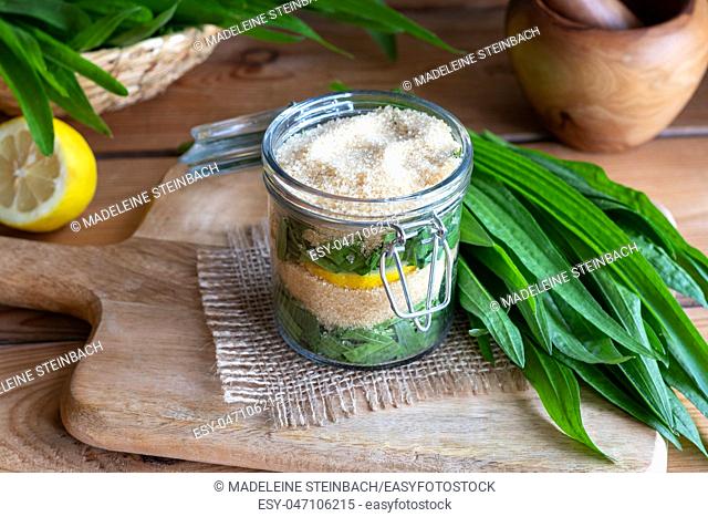 A jar filled with ribwort plantain leaves, lemon and cane sugar, to prepare herbal syrup against cough