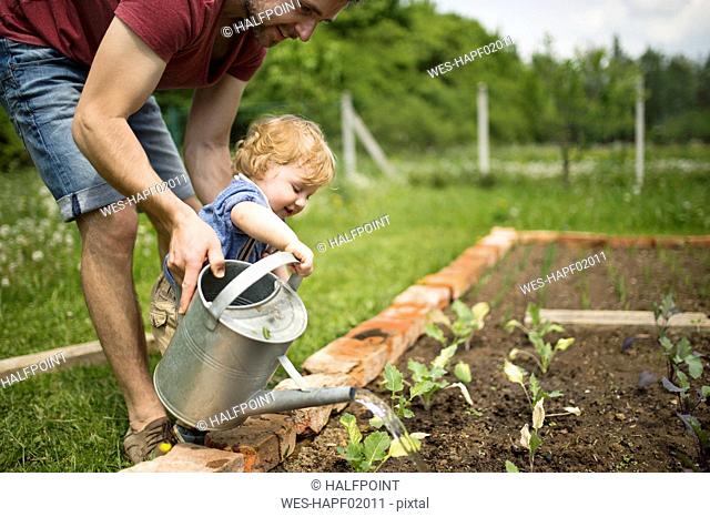 Father with his little son in the garden watering seedlings
