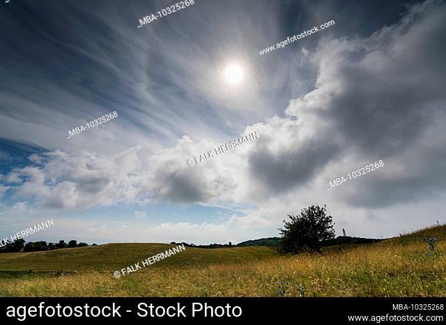 Sun halo over a single tree in the highlands of Hiddensee with beautiful clouds and sun. Light effects in summer on the island of Hiddensee and a lonely tree