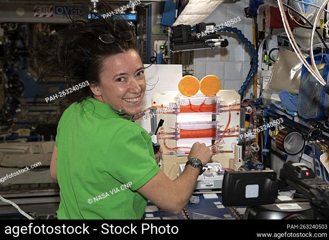 NASA astronaut and Expedition 65 Flight Engineer Megan McArthur works on the Plant Water Management space botany study that explores operating hydroponics in...