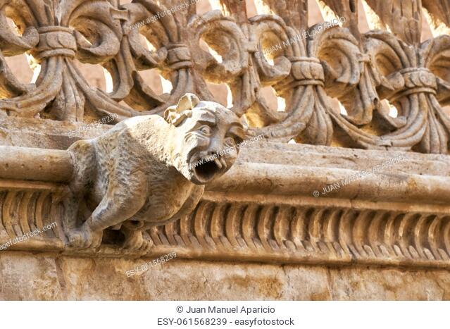 Architectural detail of the La casa de las Conchas, Salamanca City, Province of SalamancaSpain, Europe