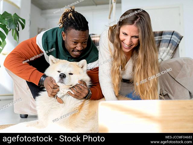 Smiling couple with dog bending and using laptop in living room