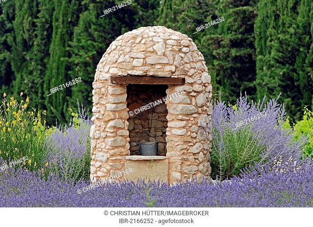 Stone cottage with a well in a field of Lavender (Lavandula angustifolia), Vaucluse, Provence-Alpes-Cote d'Azur, Southern France, France, Europe, PublicGround