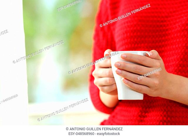 Close up of a woman wearing red sweater with hands holding a coffee cup beside a window with a green background outside