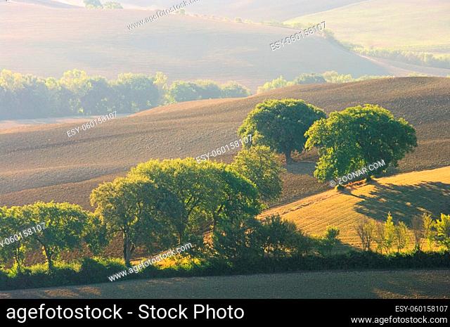 Toskana Huegel im Herbst - Tuscany hills in fall 06