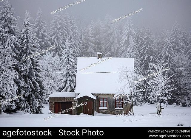 06 December 2023, Czech Republic, Abertamy: A small cottage stands in the snow-covered forest. Photo: Jan Woitas/dpa. - Abertamy/Czech Republic
