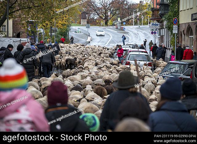 19 November 2023, Bavaria, Nuremberg: Several people accompany shepherd Thomas Gackstatter's flock of sheep. 600 sheep move through Nuremberg city center to get...