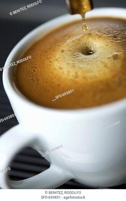 Espresso cup on espresso machine