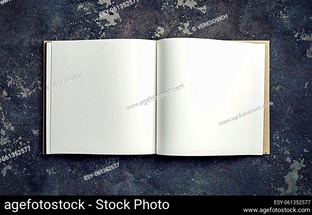 Blank open brochure or book on concrete background. Top view. Flat lay