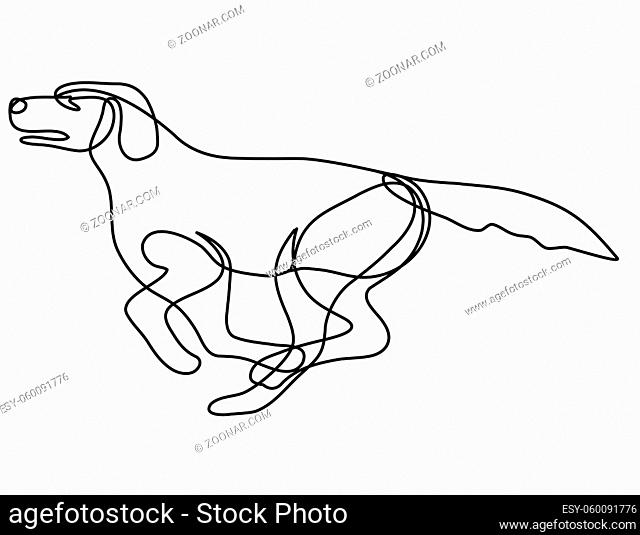 Continuous line drawing illustration of a Labrador Retriever dog running side view done in mono line or doodle style in black and white on isolated background