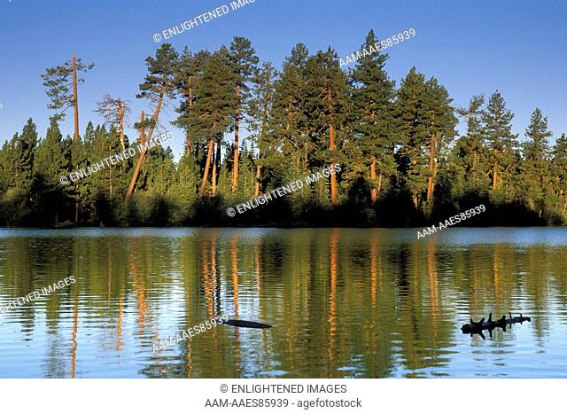 Morning light on trees and forest reflected in blue water of Manzanita Lake at sunrise, Lassen Volcanic National Park, California