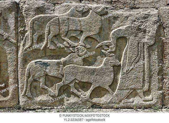 Pictures & Images Hittite relief sculpted orthostat panels of the Sphinx Gate. Panel depicts a man leading goats to be sacrificed
