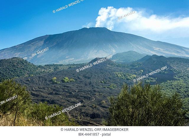 View from Monte Ruvolo of Mount Etna western flank, with Mount Nuovo and Mount Lepre, volcanoes, lava field from 1763, Piano dei Grilli, Bronte, Sicily, Italy