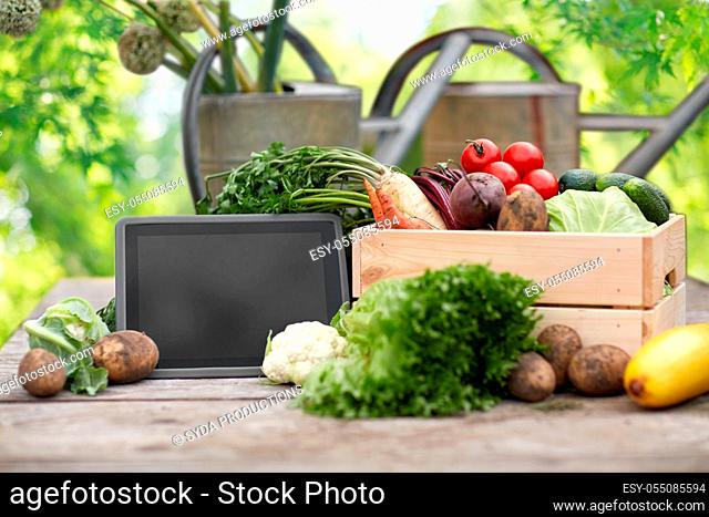 close up of vegetables with tablet pc on farm