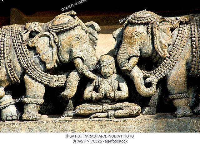 Statues of elephant carved on hoysaleswara temple ; Halebid Halebidu ; Hassan ; Karnataka ; India