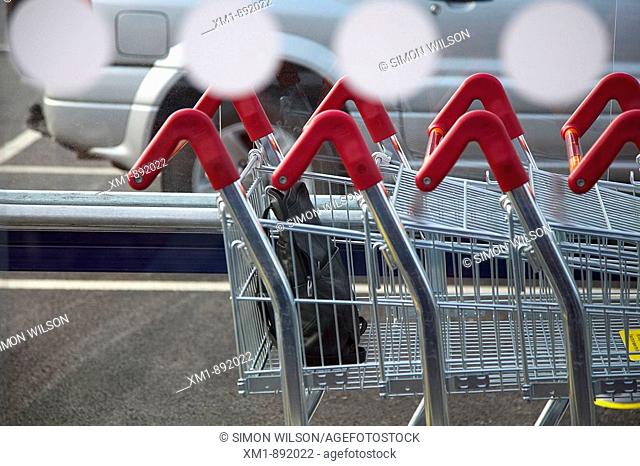 Handbag left in supermarket trolley