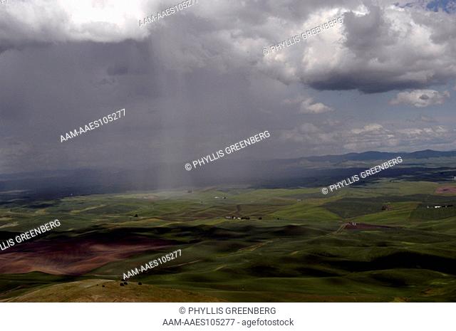 View of rainstorm from Steptoe Butte The Palouse Whitman County, Wa